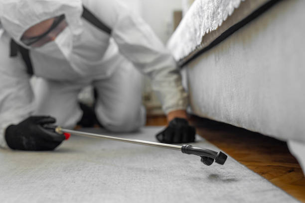Professional Bed Bug Control technician working in Valley Stream, NY