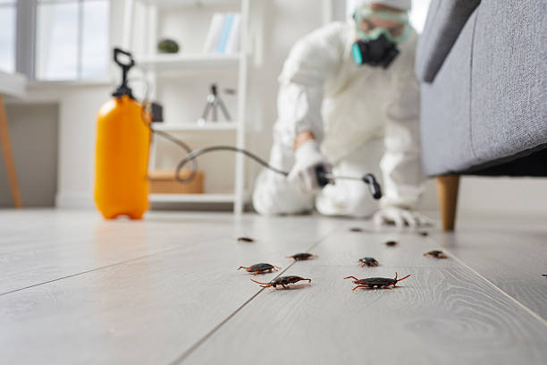 Trusted Fumigation Services service in Valley Stream, NY - Nex Pest Control