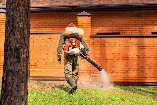 Trusted Cockroach Control service in Valley Stream, NY - Nex Pest Control